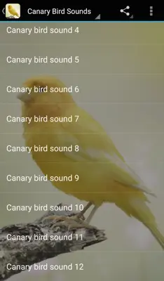 Canary Bird Sounds android App screenshot 0